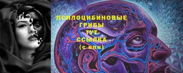 мдпв Белокуриха