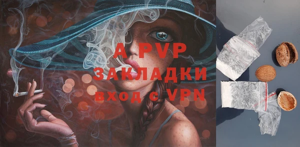 сатива Покачи